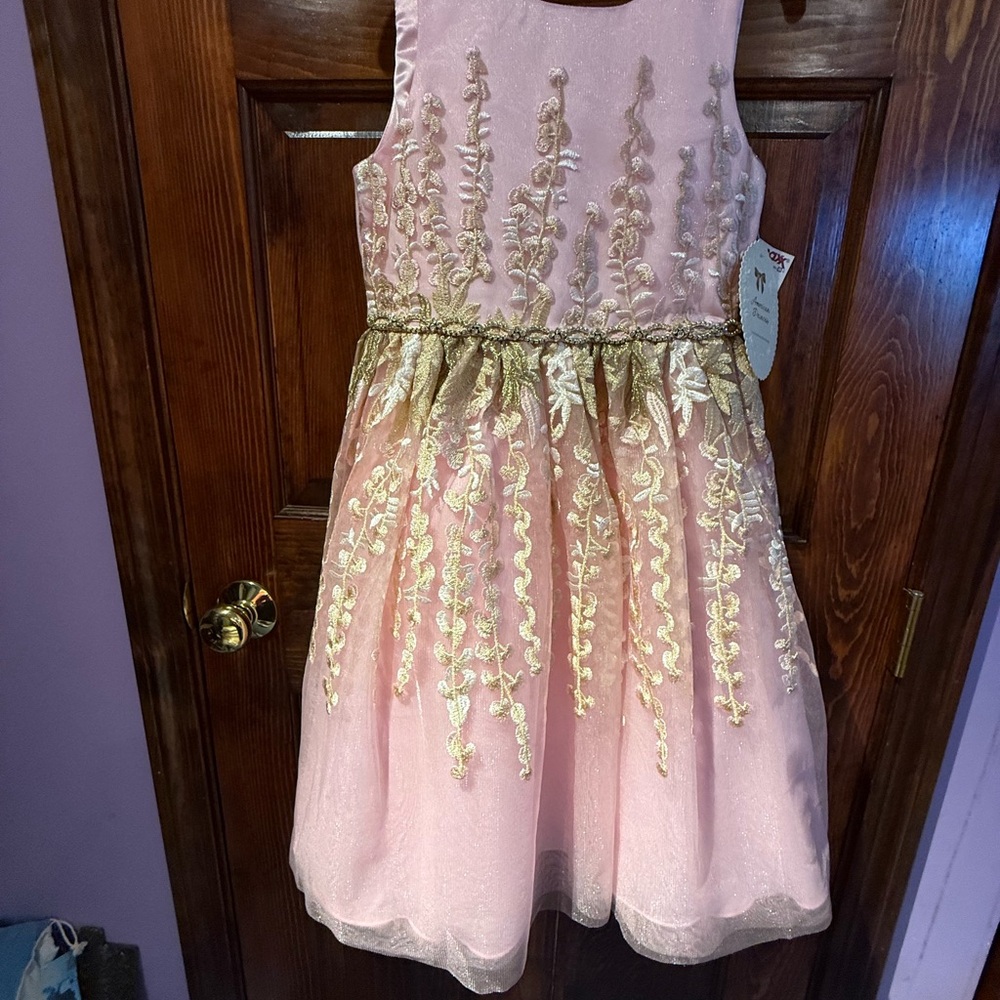 American Princess Pink and Gold Formal Dress